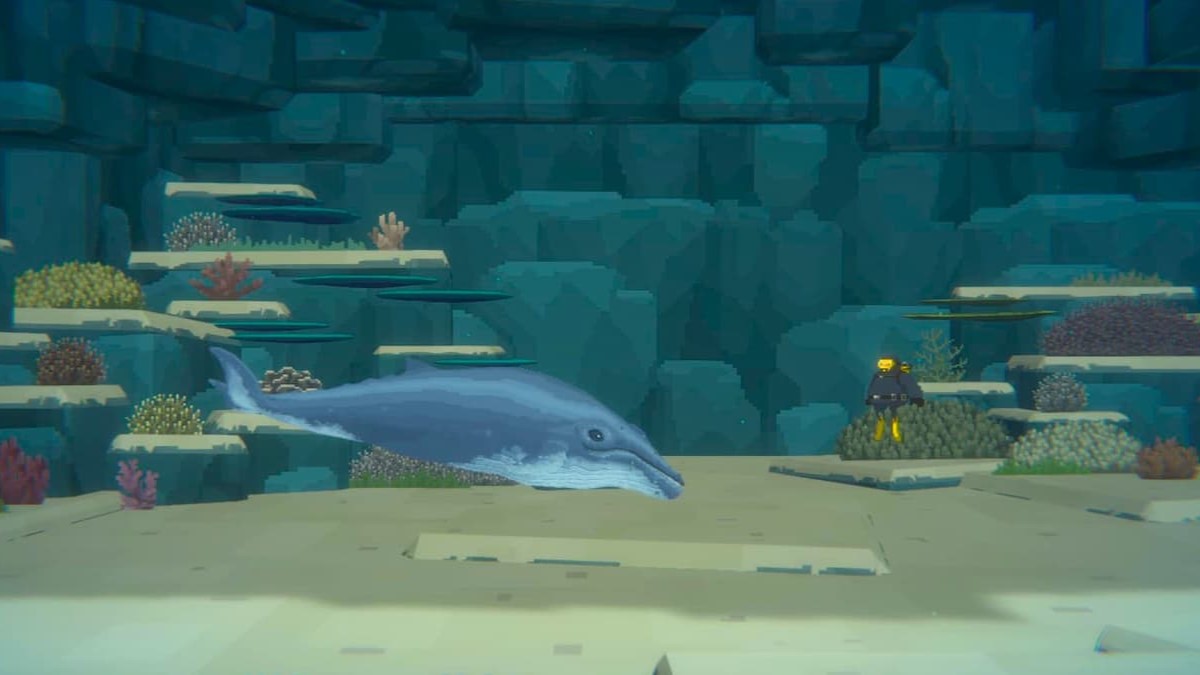 Finding the Baby Whale Mission in Dave the Diver